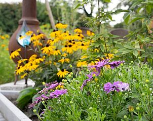 Guest house 427901 - Holiday property Hart van Brabant - Huisje in Best