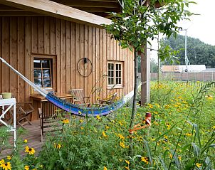 Guest house 427903 - Holiday property Hart van Brabant - Huisje in Best