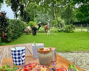 Guest house 427905 - Holiday property Hart van Brabant - Vakantiehuisje in Best