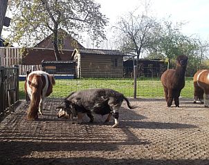Verblijf 427906 - Vakantiewoning Hart van Brabant - Vakantiehuis in Best