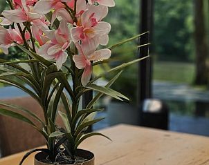 Guest house 428002 - Holiday property Hart van Brabant - Vakantiehuis in Rosmalen