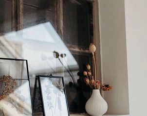 Guest house 430105 - Holiday property Noordoost Brabant - Huisje in Nuland