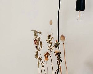 Guest house 430105 - Holiday property Noordoost Brabant - Huisje in Nuland