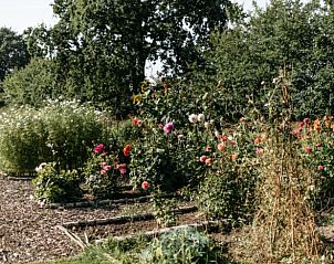 Guest house 430105 - Holiday property Noordoost Brabant - Huisje in Nuland