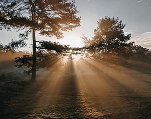 Guest house 430105 - Holiday property Noordoost Brabant - Huisje in Nuland