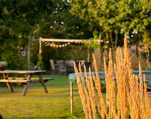 Verblijf 430106 - Vakantiewoning Noordoost Brabant - Huisje in Herpen