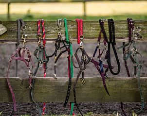 Verblijf 430106 - Vakantiewoning Noordoost Brabant - Huisje in Herpen