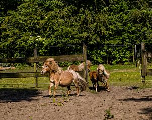 Verblijf 430106 - Vakantiewoning Noordoost Brabant - Huisje in Herpen