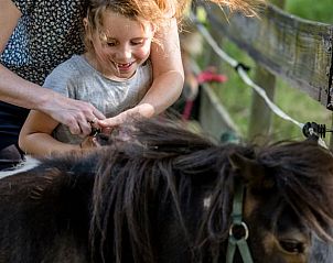 Verblijf 430106 - Vakantiewoning Noordoost Brabant - Huisje in Herpen
