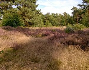 Unterkunft 430107 - Ferienhaus Noordoost Brabant - Vakantiehuisje in Nuland