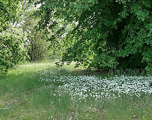 Unterkunft 430107 - Ferienhaus Noordoost Brabant - Vakantiehuisje in Nuland
