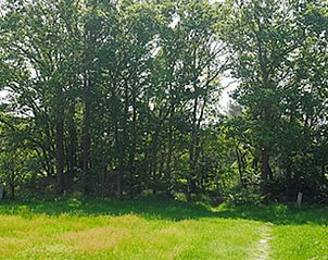 Unterkunft 430107 - Ferienhaus Noordoost Brabant - Vakantiehuisje in Nuland
