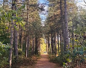 Guest house 430109 - Holiday property Noordoost Brabant - Vakantiehuis in Nuland