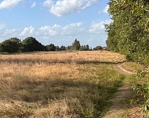 Guest house 430109 - Holiday property Noordoost Brabant - Vakantiehuis in Nuland