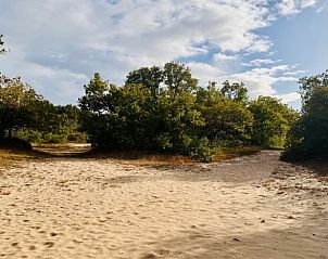 Guest house 430109 - Holiday property Noordoost Brabant - Vakantiehuis in Nuland