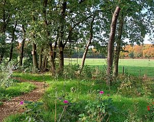 Unterkunft 430110 - Ferienhaus Noordoost Brabant - Huisje in Nuland