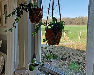 Unterkunft 430110 - Ferienhaus Noordoost Brabant - Huisje in Nuland