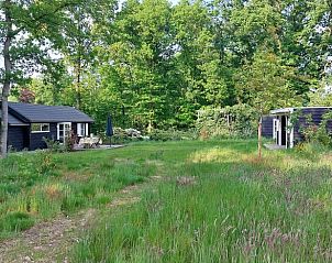 Unterkunft 430110 - Ferienhaus Noordoost Brabant - Huisje in Nuland