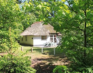 Verblijf 430132 - Bungalow Noordoost Brabant - Stuif Hoeve 4