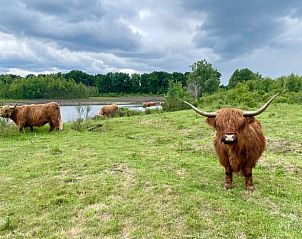Verblijf 430312 - Vakantiewoning Noordoost Brabant - Vakantiehuisje in Mill