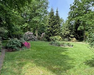 Weelderige tuin rondom Vakantiehuisje in Schaijk, een groene oase in Noord Brabant.