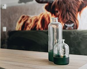 Stijlvolle binnenruimte van Forest Villa 6 in Schaijk, Noordoost Brabant met decoratieve flessen en kunst aan de muur.