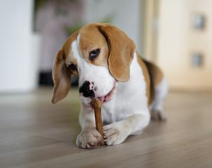 Geniet van een ontspannen verblijf in Forest Cabin Pets 6, Schaijk, Noordoost Brabant, met huisdiervriendelijke faciliteiten.