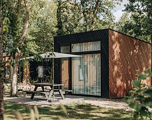 Geniet van de serene natuur rondom Forest Cabin 6, een modern vakantiehuis in Schaijk, Noordoost Brabant, met ruim terras en bosrijke omgeving.