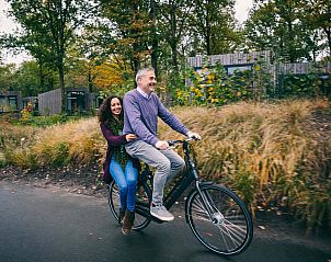 Verblijf 430431 - Chalet Noordoost Brabant - Chalet in Schaijk