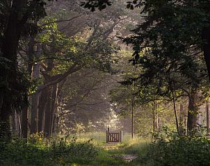 Verblijf 430431 - Chalet Noordoost Brabant - Chalet in Schaijk