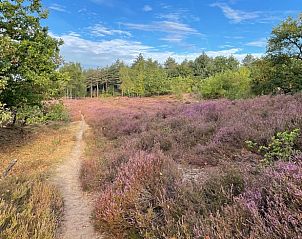 Guest house 430518 - Holiday property Noordoost Brabant - Vakantiehuis in Overloon