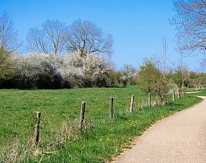 Guest house 430518 - Holiday property Noordoost Brabant - Vakantiehuis in Overloon