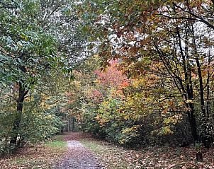 Guest house 430518 - Holiday property Noordoost Brabant - Vakantiehuis in Overloon