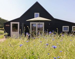 Unterkunft 430706 - Ferienhaus Noordoost Brabant - Huisje in Volkel