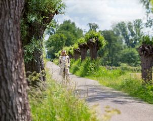 Unterkunft 430706 - Ferienhaus Noordoost Brabant - Huisje in Volkel