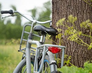 Unterkunft 430706 - Ferienhaus Noordoost Brabant - Huisje in Volkel