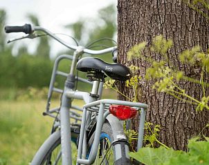 Unterkunft 430713 - Ferienhaus Noordoost Brabant - NB090