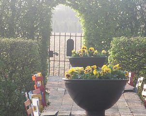 Bloeiende tuin bij Huisje in Oeffelt, vakantiehuis in Oeffelt, Noord Brabant.