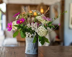 Verse bloemen in Huisje in Oeffelt, vakantiehuis in Oeffelt, Noord Brabant.