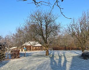 Winterse tuin bij Huisje in Oeffelt, vakantiehuis in Noord Brabant.