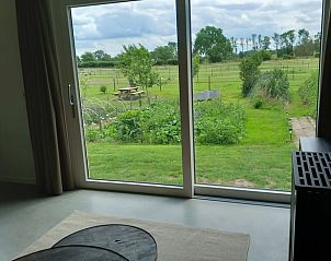 Uitzicht op het groene landschap vanuit Vakantiehuisje in Boxmeer, gelegen in Noordoost Brabant, Noord Brabant.