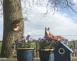 Unterkunft 431002 - Ferienhaus Noordoost Brabant - Hoog Werveld Lodge