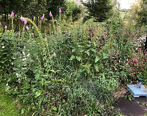 Guest house 431101 - Holiday property Noordoost Brabant - Vakantiehuisje in Cuijk