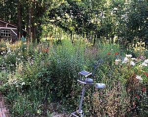 Guest house 431101 - Holiday property Noordoost Brabant - Vakantiehuisje in Cuijk