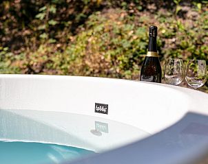 Guest house 431905 - Holiday property Noordoost Brabant - Bij ons Tinie