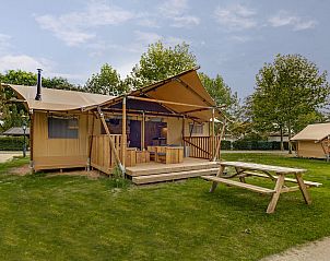 Guest house 431909 • Tent house Noordoost Brabant • Duin Lodge | 4-6 Pers 