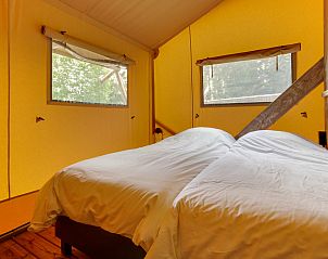 Guest house 431913 - Tent house Noordoost Brabant - Duin Lodge