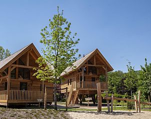 Verblijf 431914 - Vakantiewoning Noordoost Brabant - Boomhut + Jacuzzi