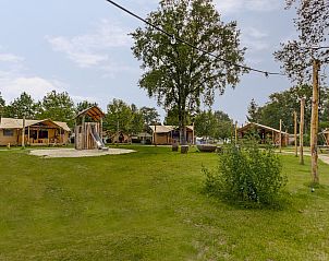 Guest house 431915 - Tent house Noordoost Brabant - Duin Lodge