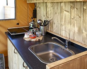 Guest house 431916 - Tent house Noordoost Brabant - Bos Lodge Junior